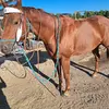 Jasmin Robles - @jasminmrobles5 - TikTok