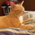 Jasmine Rowe - Facebook