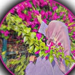 Rohaman SK - @jasmin_roy_46 - Instagram