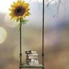 Jasmin Schultz - @beautifullife1234456 - TikTok