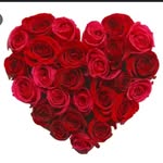 jasmina sehovic - @sehovic_jasmina - Instagram