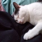 Jasmin Short - @_jasmin.short_ - Instagram
