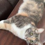 Jasmine Short - Facebook