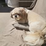Jasmin Steinhuber - @jasminsteinhuber - Instagram