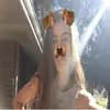 jasmin_sutton - @jasmin_sutton - TikTok