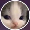 _jasmin_tejeda_ - @_jasmin_tejeda_ - TikTok