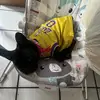 JasminV23 - @jasminvera30 - TikTok