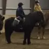 Jasmin_Equestrian - @jasminwittt - TikTok