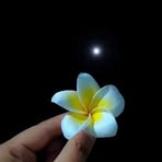 Jasmine Abdullah - Facebook