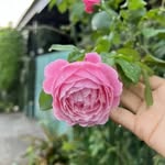jasmine_abdullah_ - @jasmine_abdullah_1 - Instagram