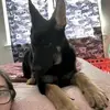 Jasmine Acree - @jasmine.acree - TikTok