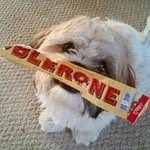 Jasmine Adderley - @simonadderley - Instagram