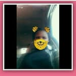 jazz - @jasmine.akins15 - Instagram