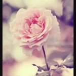 Jasmine Amaral - @jasmine_25962 - Instagram