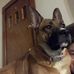 Jasmine Amaral - Facebook