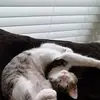jasminebadger526 - @jasminebadger526 - TikTok