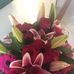Jasmine Barton - Facebook
