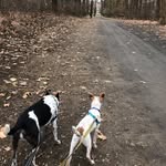 Jasmine & Bean - @jazzybeans619 - Instagram