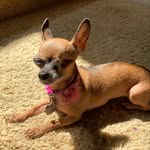 Jasmine Bean - @one.eyed.jazzy - Instagram