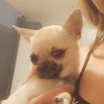 Jasmine Young - @jasmine.bean_ - Instagram