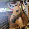 Jasmine Bentley - @jasmine.bentley53 - TikTok