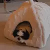 jasminebob - @jasminebobi - TikTok