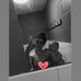 Jasmine Bowen - Facebook