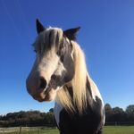 Jasmine Buck - @jazzb1881 - Instagram