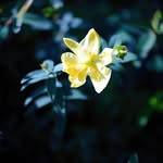 Jasmine Butcher Photography - @jasminebutcherphotography - Instagram