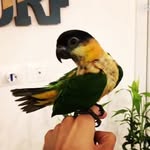 J A S M I N E - @jasmine_caique - Instagram