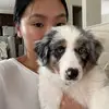 jasmine cai - @itsjasminecai - TikTok