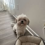 Jasmine Chand - Facebook