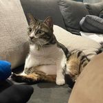 Jasmine Cheng - @qw2129 - Instagram