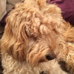 Jass - @jasmine_chester_patchey - Instagram