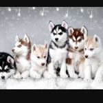 Jasmine Compton - @jasminencompton - Instagram