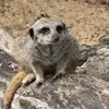 Jasmine Compton - @jasmine.compton - TikTok