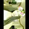 Jasmine Coronel - @jasminerubio4 - TikTok