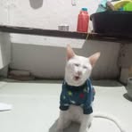 Jasmine Guarin - Facebook