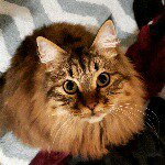Jasmine "CB" Darby - @crazybuttjasmine - Instagram