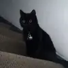 Jasmine - @jasminedawson619 - TikTok
