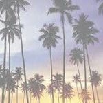 Jasmine Dillard - @crazy_jazz29 - Instagram