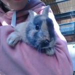 Jasmine Dodd - @jasmine.dodd.7121 - Instagram