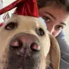 Jasmine.D - @jasminedowd_ - TikTok
