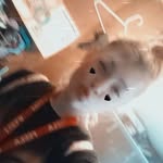 Jasmine Eversole - @jasmine.eversole - Instagram