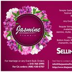 Jasmine Folsom Ranch - Facebook