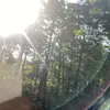 jasmineforrest - @_simplyjazz_ - TikTok