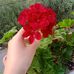 Jasmine Fowler - Facebook