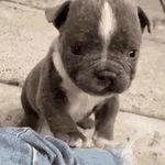 jasmine gaston - @67jgaston - Instagram