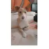 user5621338775200 - @jasminegentle01 - TikTok