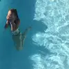 jasmine groves - @jaz.groves05 - TikTok